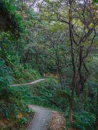 #尋蹤廣州潯峰山生態公園，邂逅自然之美