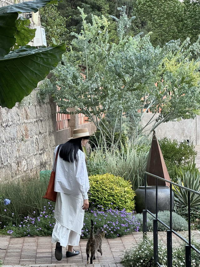 在撫仙湖｜讓時間在這裡駐足！