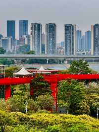 深圳最美的虹橋公園！！