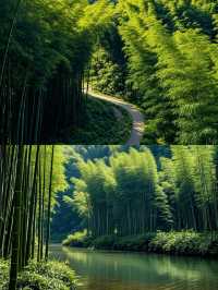 蜀南竹海，川渝周邊，滿眼青翠，人間仙境。