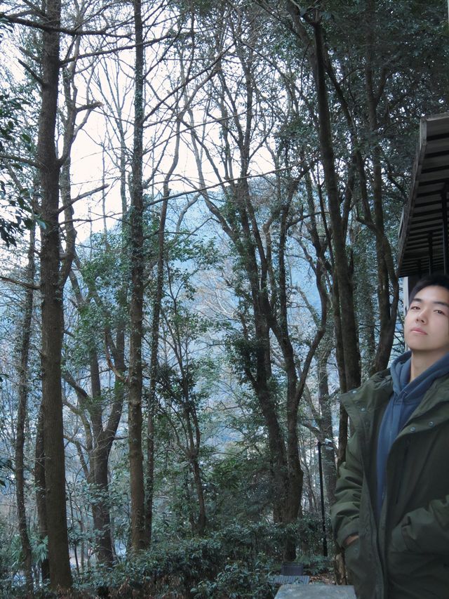 金華雙龍賓館 | 隱於山林 洞見雙龍