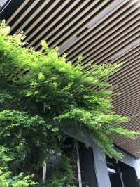 下一站：長沙「春風十里」