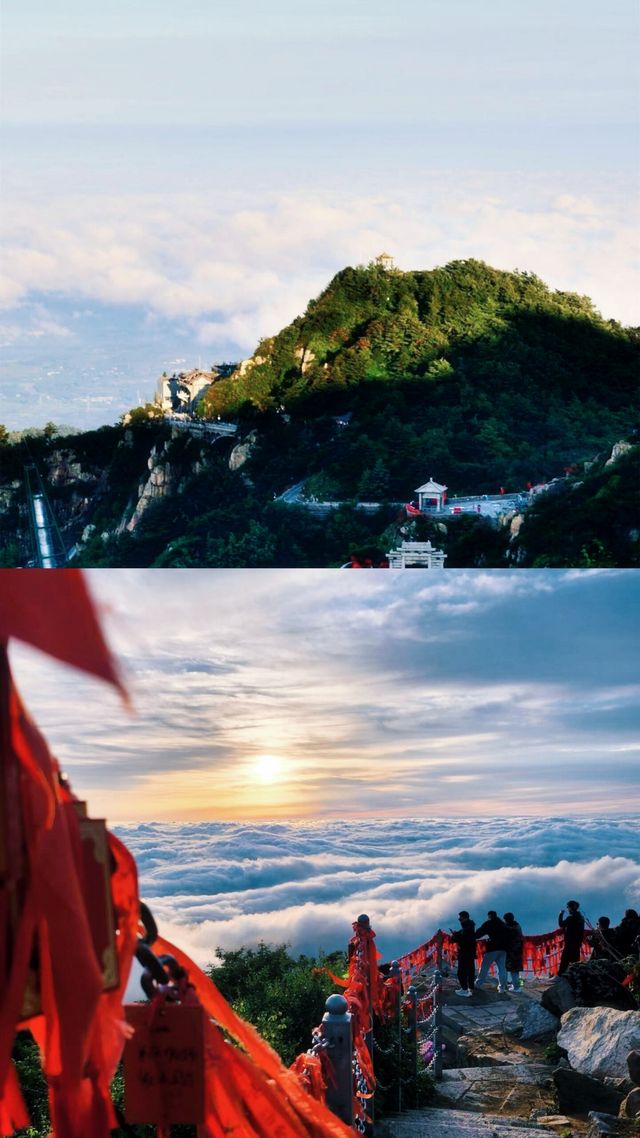 乜嘢？你想睇雲海？