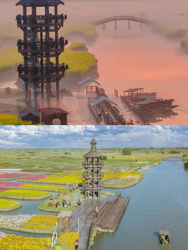 泰州｜被嚴重低估你4-5月份旅行寶藏地，附攻略！