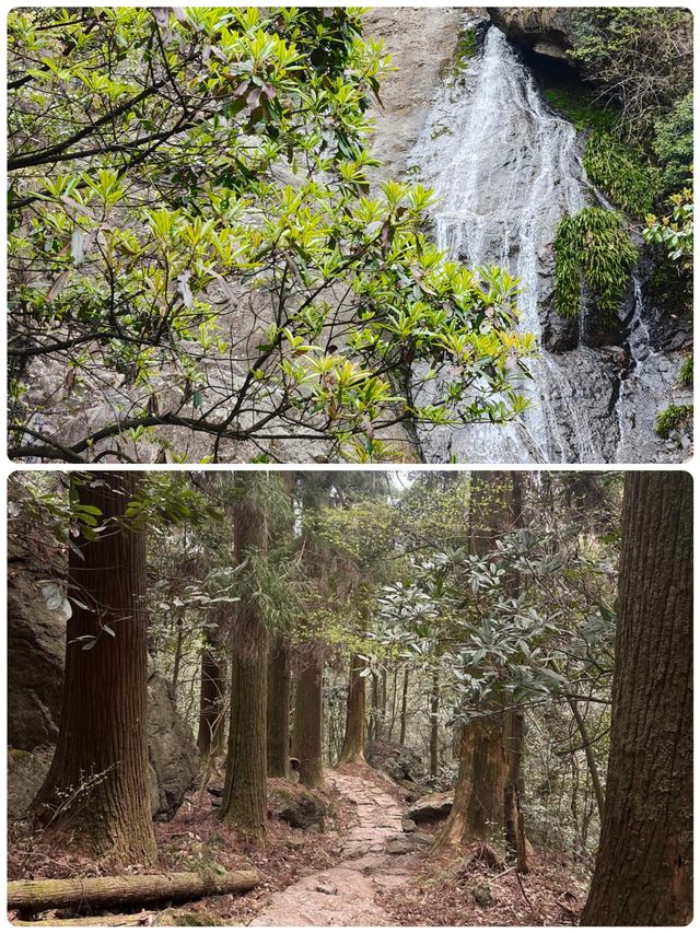 佛系吸氧天花板！天目山保姆級避坑攻略