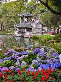 Liwan lake park blossoms 