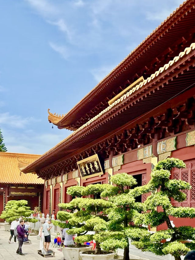 Serenity in the Heart of Shenzhen 