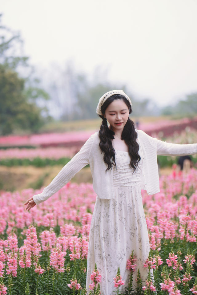 崇左秘境暴走峒那嶼灣花海把我美到失語