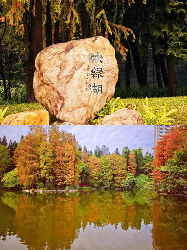 【城市入面偷到靜｜珠江新城背後，竟然藏住一個咁舒服嘅地方】
