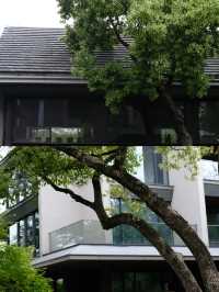 木守西溪｜杭州最美風景中的世外桃源