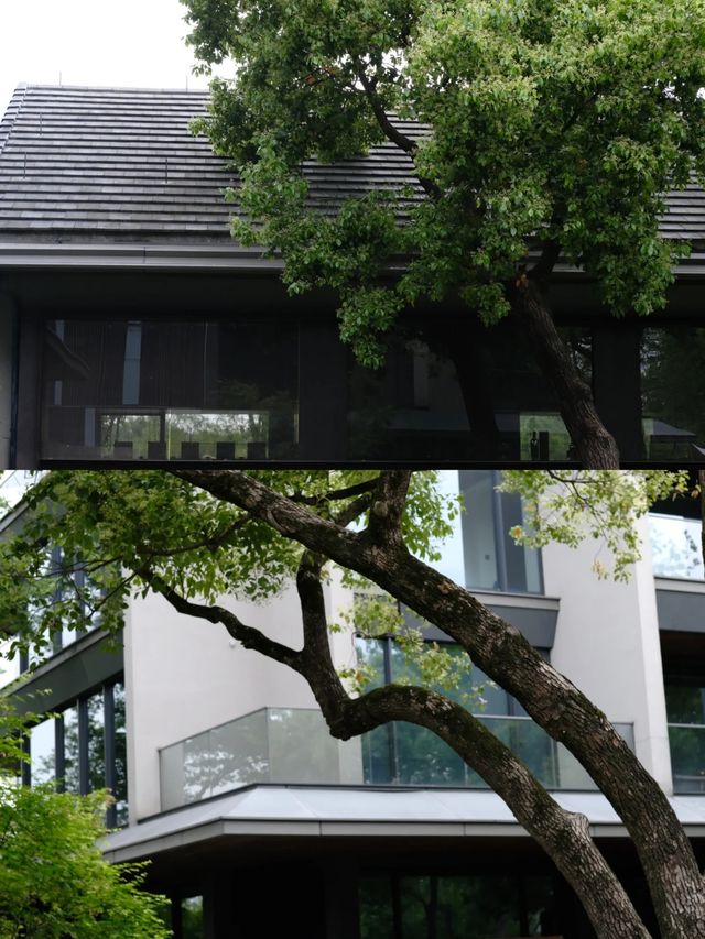 木守西溪｜杭州最美風景中的世外桃源
