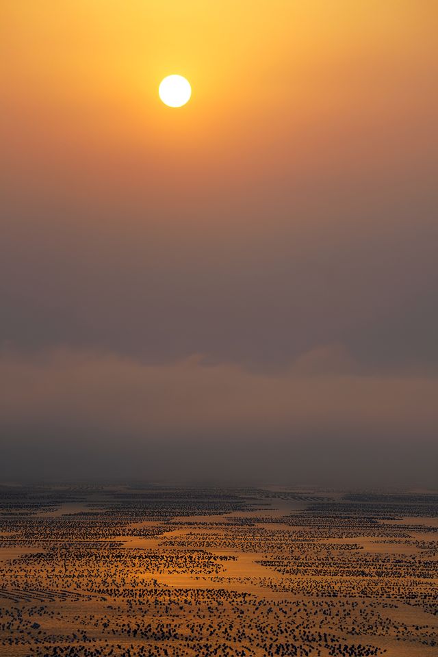 「山海奇觀」——枸杞島與嵊山島之旅