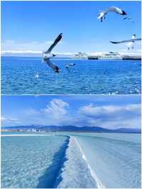 青海之旅已結束，想去的朋友請三思