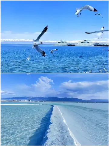 칭하이 여행 후기: 가실 분들은 신중히 생각하세요