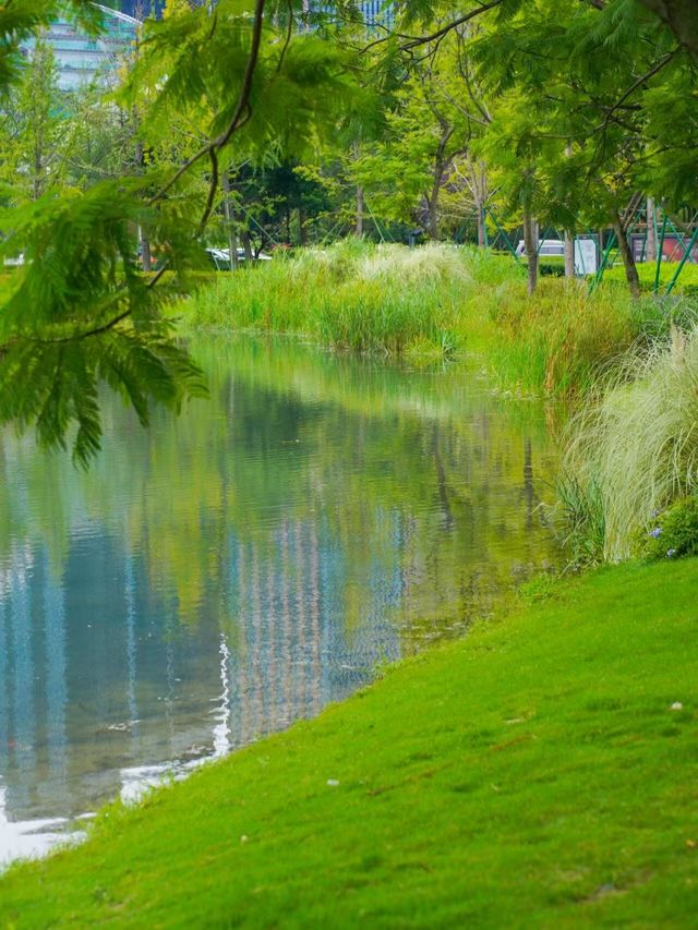 成都最Chill嘅公園冇之一