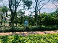 廣東省佛山市公園景點：湖心公園，適合觀光旅遊、度假休閒等！