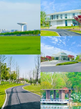 3-Day 2-Night Hefei Travel Guide! ¥500 per person to experience the charm of the "Lord City"