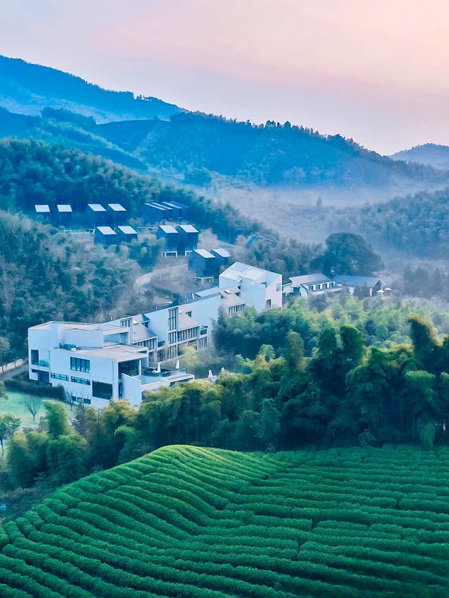 湖州·廿舍|隱於茶山竹海間嘅度假天堂美宿！！！
