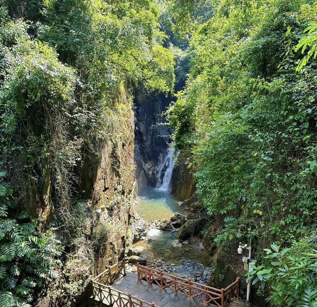臘山國家森林公園