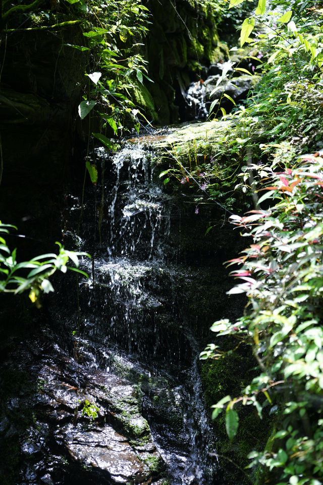 成都周邊免費溯溪玩水地，也是徒步避暑秘境！