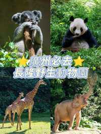 廣州•長隆野生動物園詳細攻略