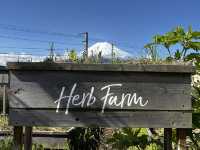 Finding Mt. Fuji
