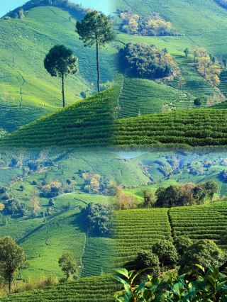 Not in Xinjiang! In Anji, Zhejiang | A 3-Day, 2-Night Escape from the City