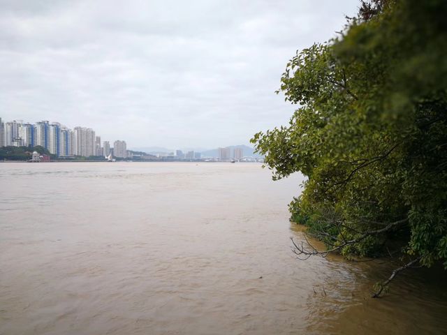 尋味山海間，解鎖溫州的隱秘浪漫