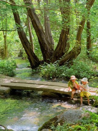Xi'an 2 Days 1 Night Family Trip: Stay in Fairy-tale Forest Cabins & Play by Waterfalls
