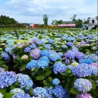 這個季節最不能錯過的公園！沒有之一😭！直接被美到跺腳～
