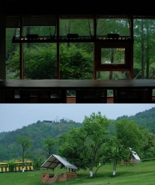 초여름 밤, 숲속 그림 속으로 들어가자! 단오 피신 계획 시작~