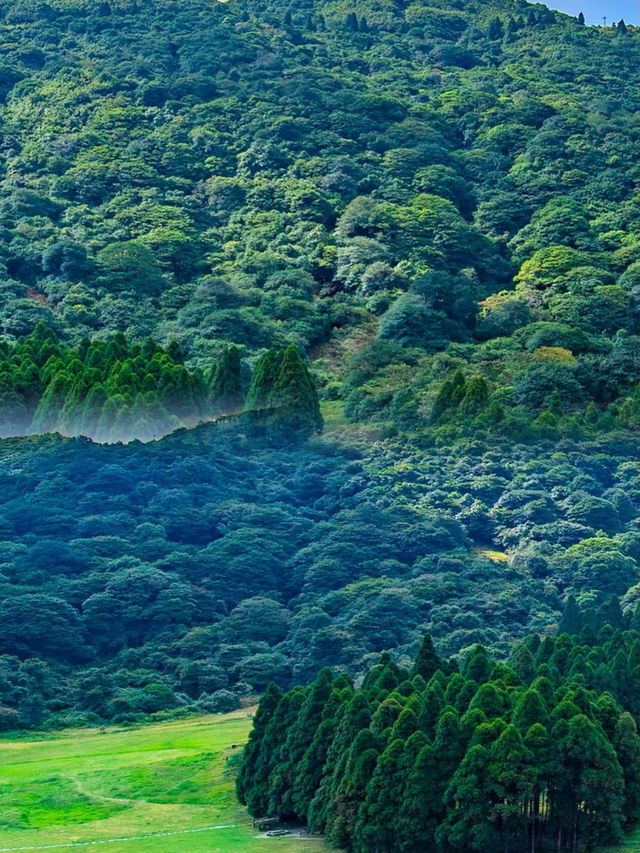 呢度唔係阿勒泰！係隱藏喺玉林嘅綠野仙境——大容山