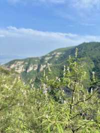 崛圍山超詳細旅遊攻略：領略自然與人文之美