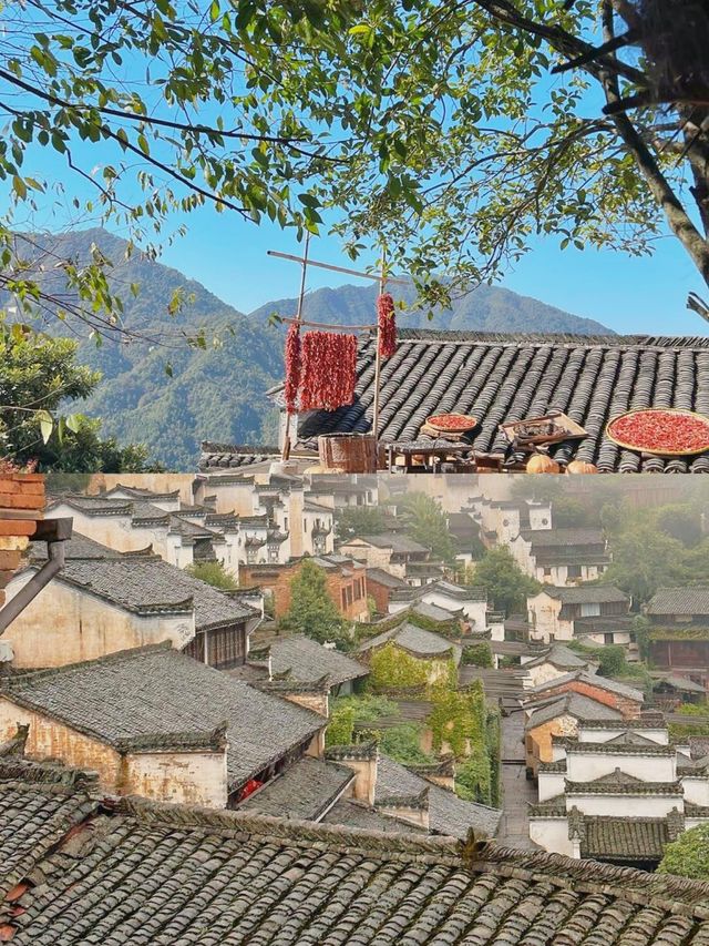 婺源話走就走！快啲嚟旅行啦！！