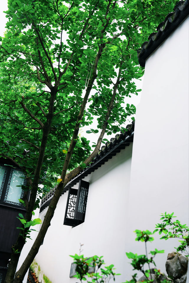 搬入平江路百年老宅，先算真正住過蘇州！