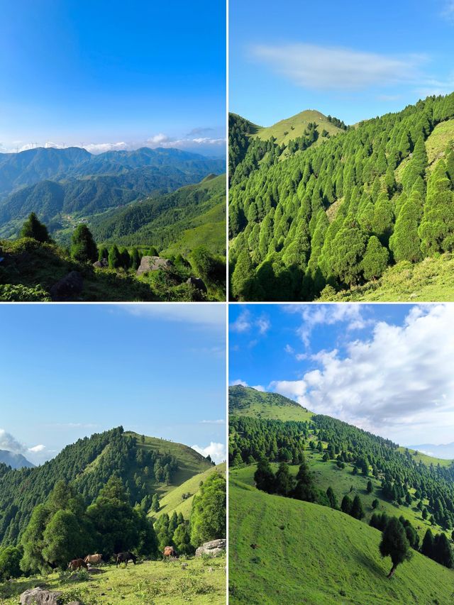 玉林幾好，但唔會再嚟