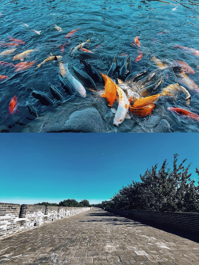 咁近，咁靚，週末去河北！