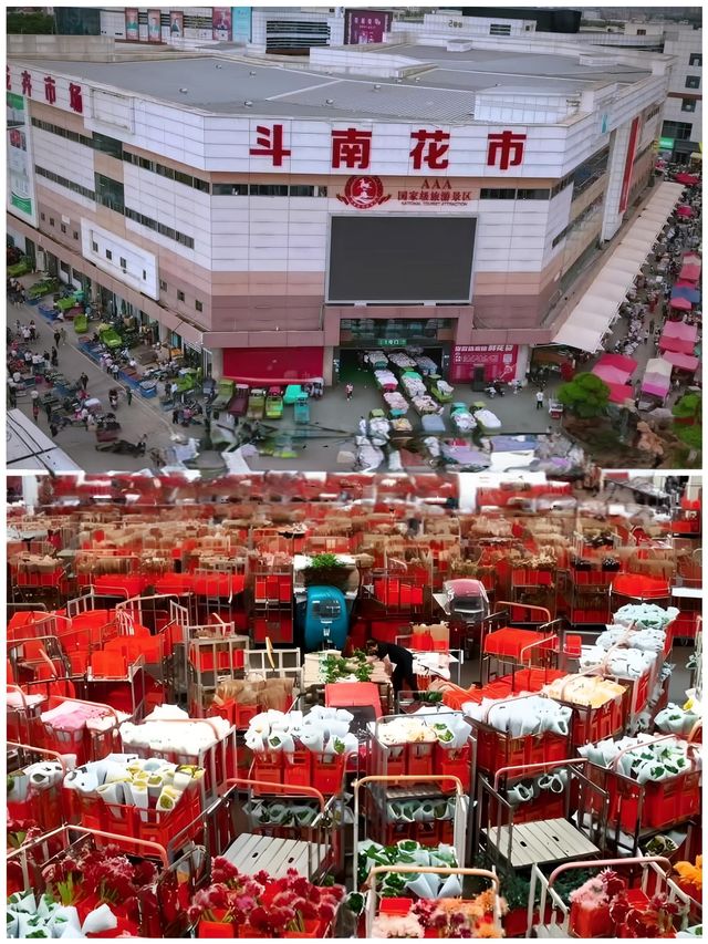 雲南鮮花市場花海裡走走全身心舒爽真美好