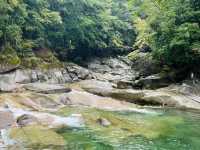 去咗米倉山國家森林公園3次，終於玩到明晒。