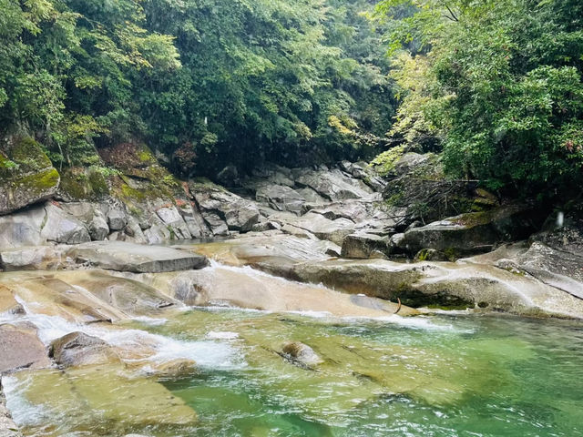 去咗米倉山國家森林公園3次，終於玩到明晒。