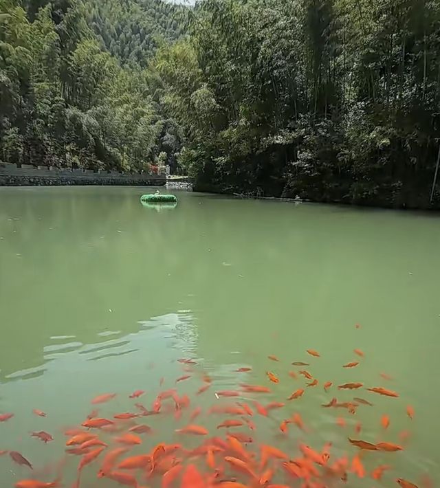 解碼徽州遺珠 | 迷宮祠堂、文藝田野與聯體古居