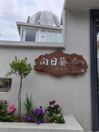 珠海淇澳島必住！向日葵民宿の田園治愈之旅🌻