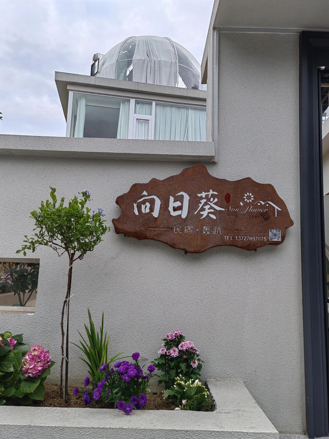 珠海淇澳島必住！向日葵民宿の田園治愈之旅🌻