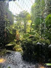 Gardens by the Bay - Singapore