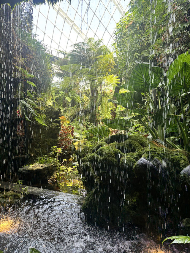 Gardens by the Bay - Singapore