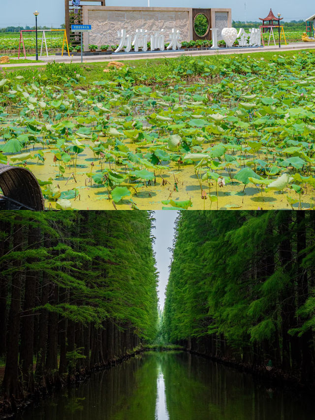 不容錯過嘅寶藏旅行地