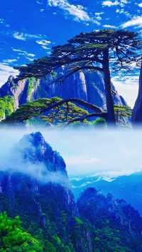 登黃山：一場與自然的靈魂對話