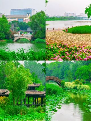Suqian | Coming in the off-season (July-August) is truly amazing, with fewer crowds and beautiful scenery