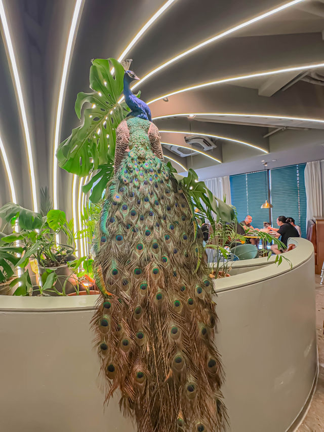 美術學院老師開嘅餐廳，連餐盤都係藝術品！