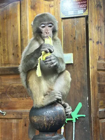 장가계 여행 순간